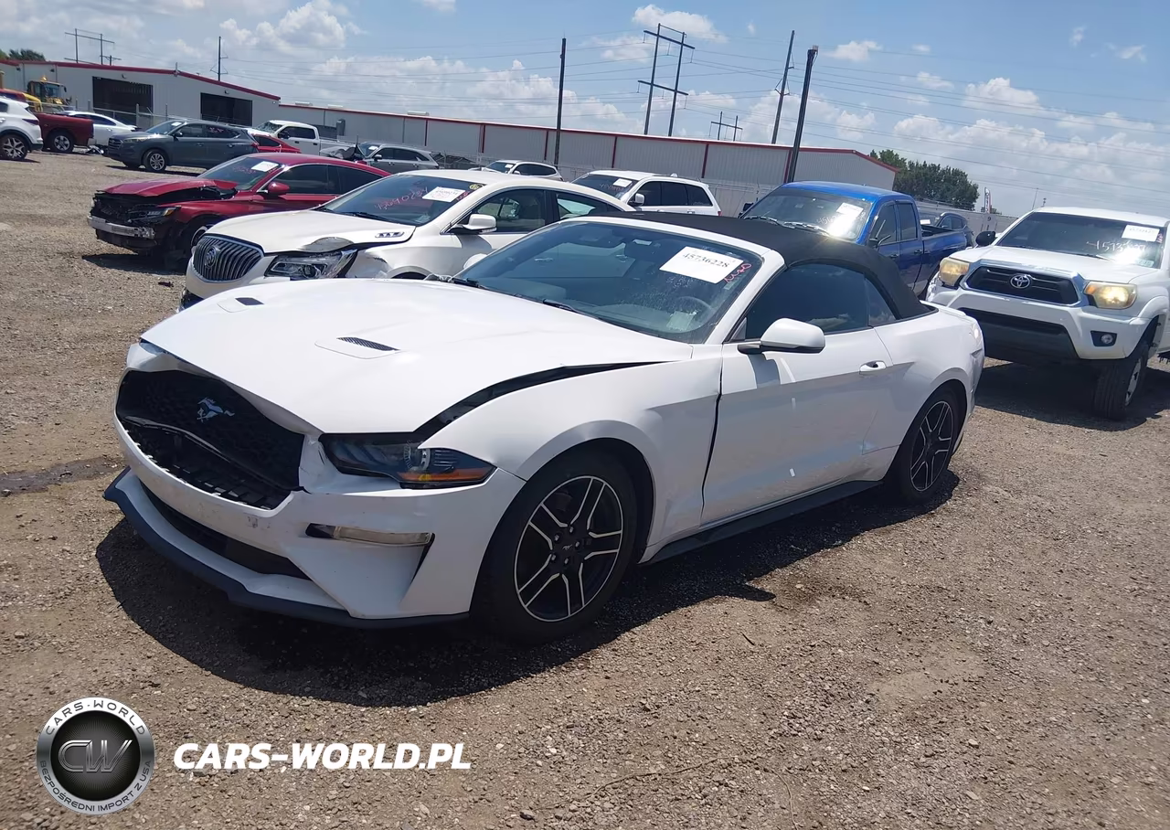 2020 Ford Mustang Ecoboost Premium VIN:1FATP8UH1L5132317 - 2
