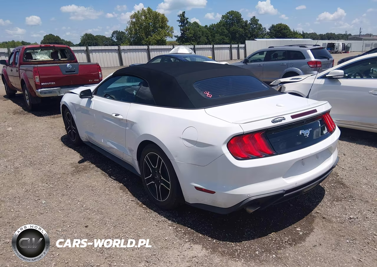 2020 Ford Mustang Ecoboost Premium VIN:1FATP8UH1L5132317 - 3