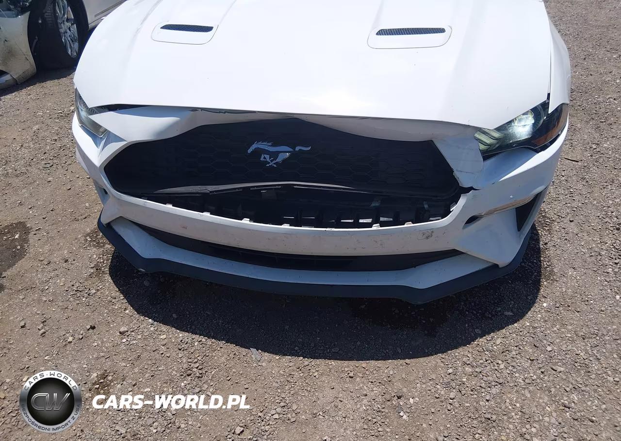 2020 Ford Mustang Ecoboost Premium VIN:1FATP8UH1L5132317 - 6