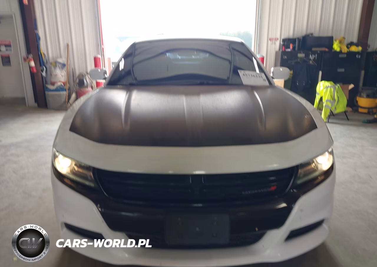 2019 Dodge Charger Police Awd VIN:2C3CDXKT6KH722271 - 6