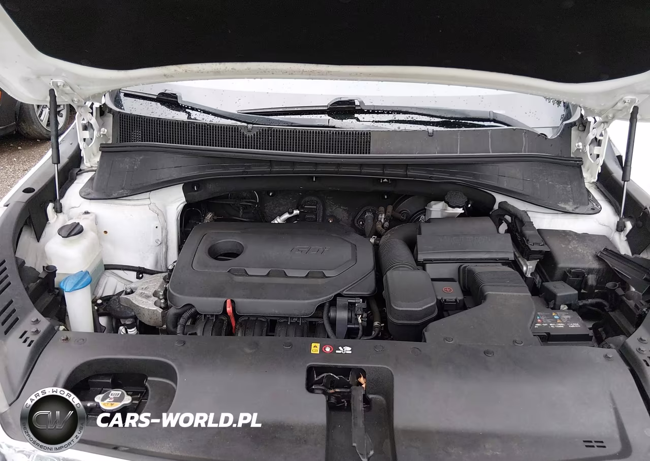 2019 Kia Sorento 2.4L Lx VIN:5XYPGDA38KG458327 - 10