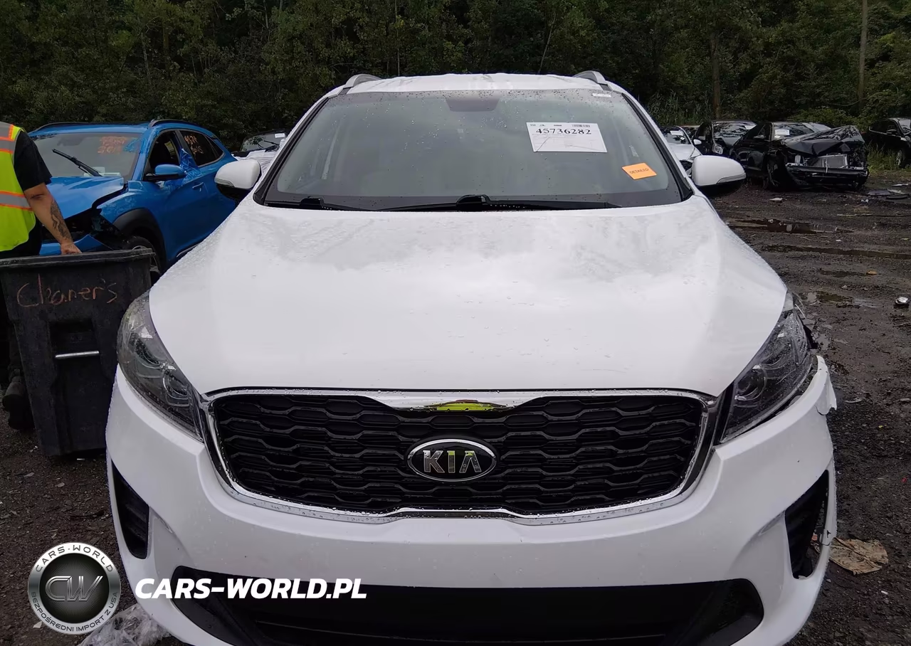 2019 Kia Sorento 2.4L Lx VIN:5XYPGDA38KG458327 - 12