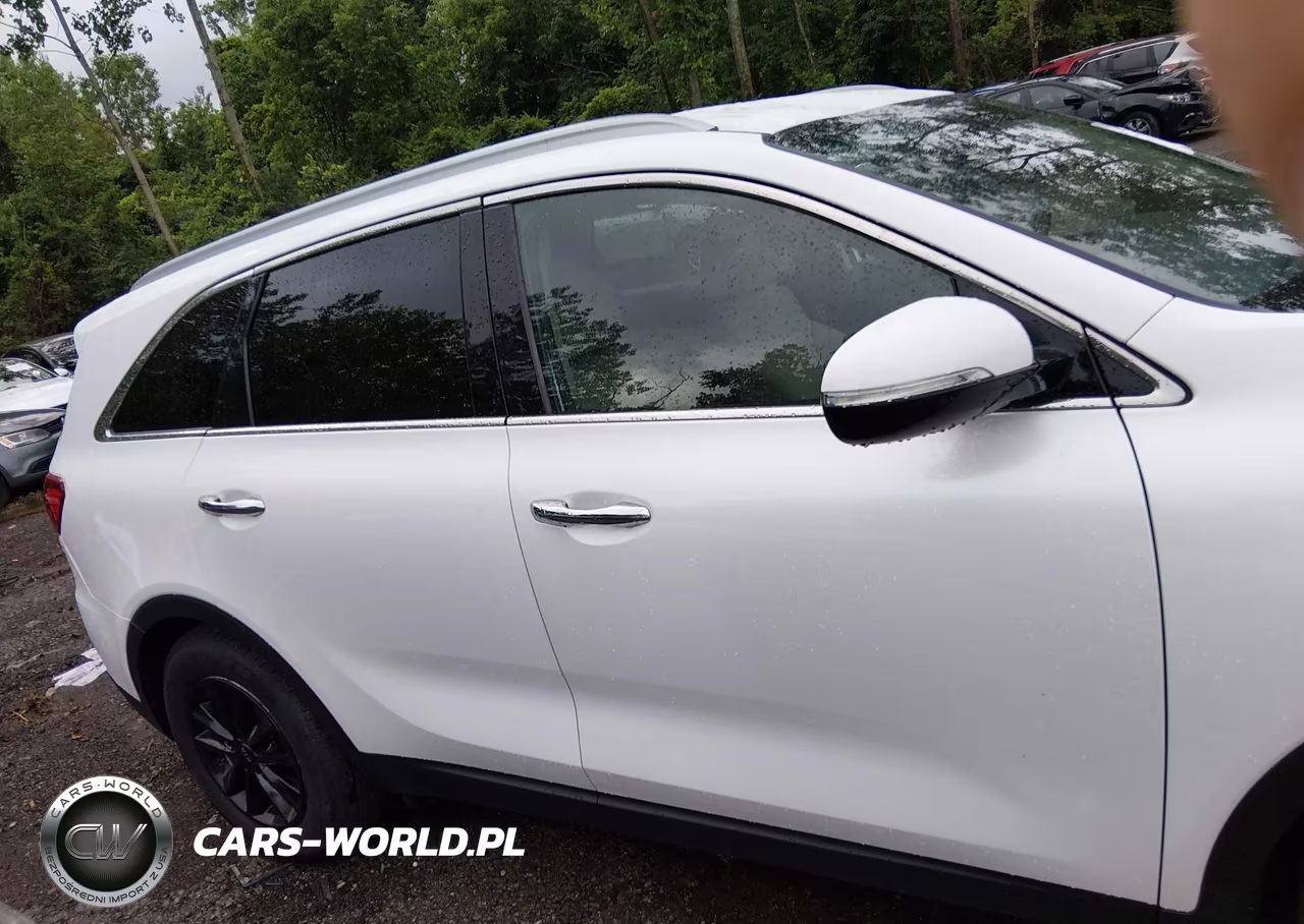 2019 Kia Sorento 2.4L Lx VIN:5XYPGDA38KG458327 - 13