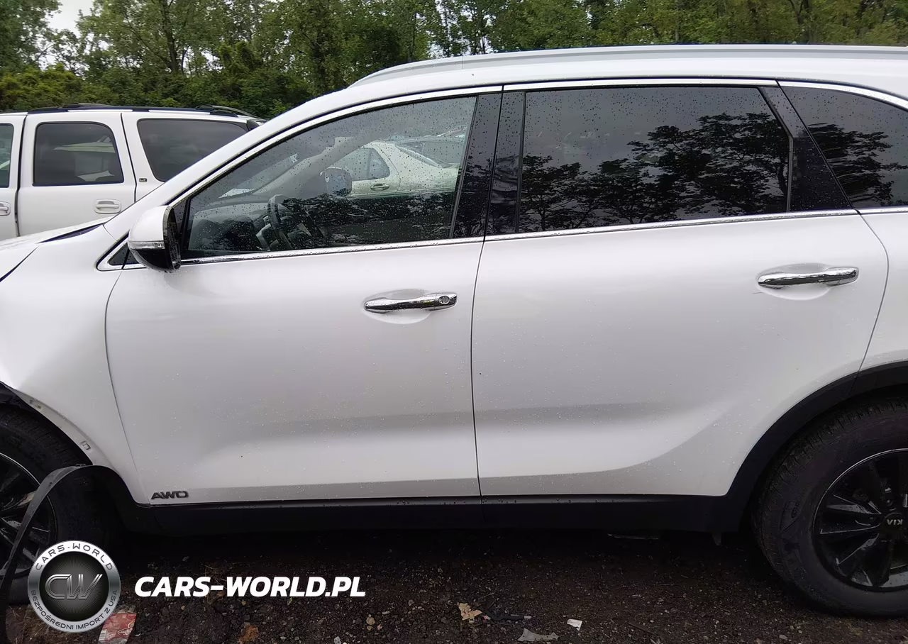 2019 Kia Sorento 2.4L Lx VIN:5XYPGDA38KG458327 - 14