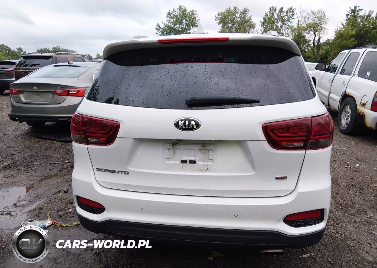 2019 Kia Sorento 2.4L Lx VIN:5XYPGDA38KG458327 - 16