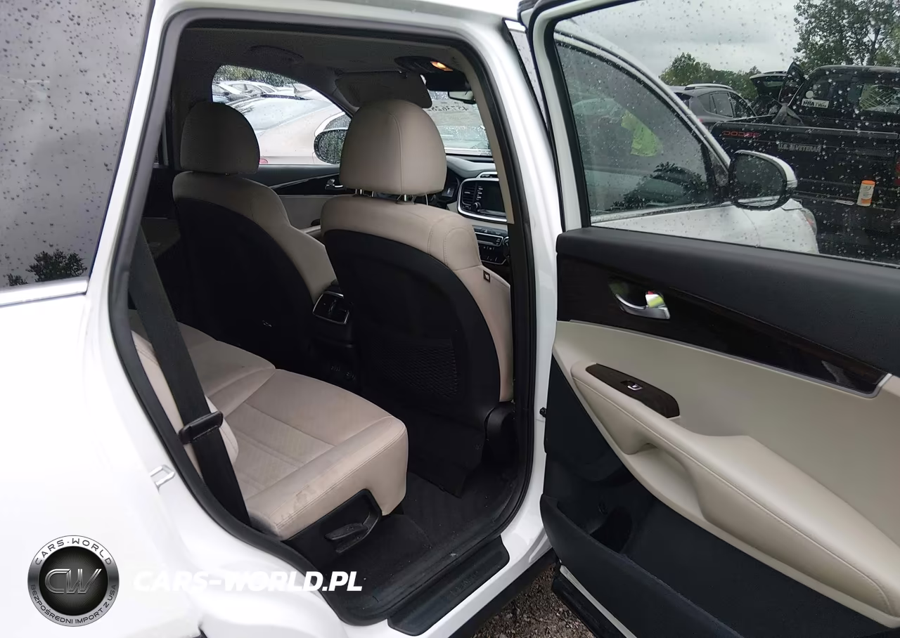 2019 Kia Sorento 2.4L Lx VIN:5XYPGDA38KG458327 - 8