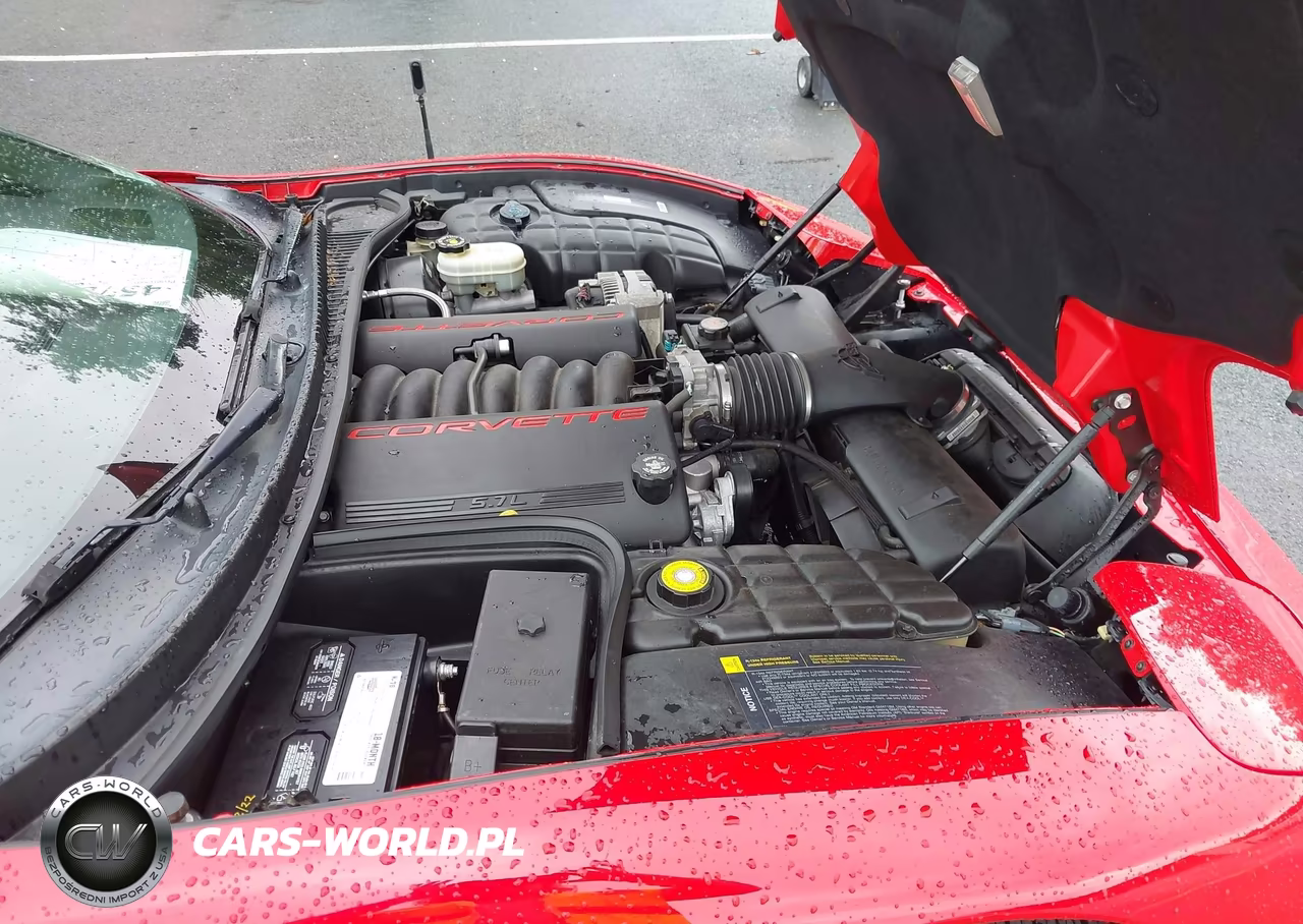 1999 Chevrolet Corvette VIN:1G1YY22G4X5104174 - 10