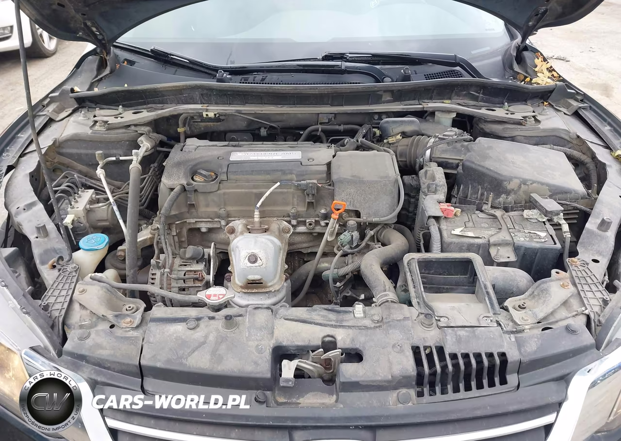 2014 Honda Accord Ex-L VIN:1HGCR2F82EA124303 - 10