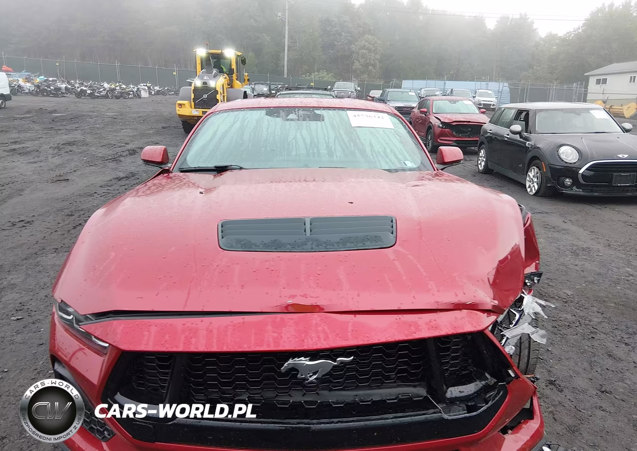 2024 Ford Mustang Gt Premium Fastback VIN:1FA6P8CF0R5416673 - 12