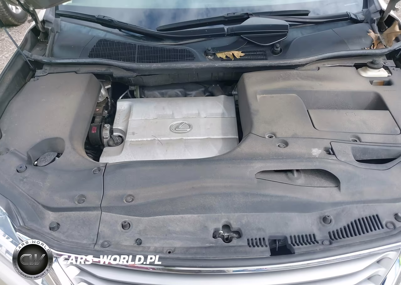 2015 Lexus Rx 350 VIN:2T2BK1BA5FC280989 - 10