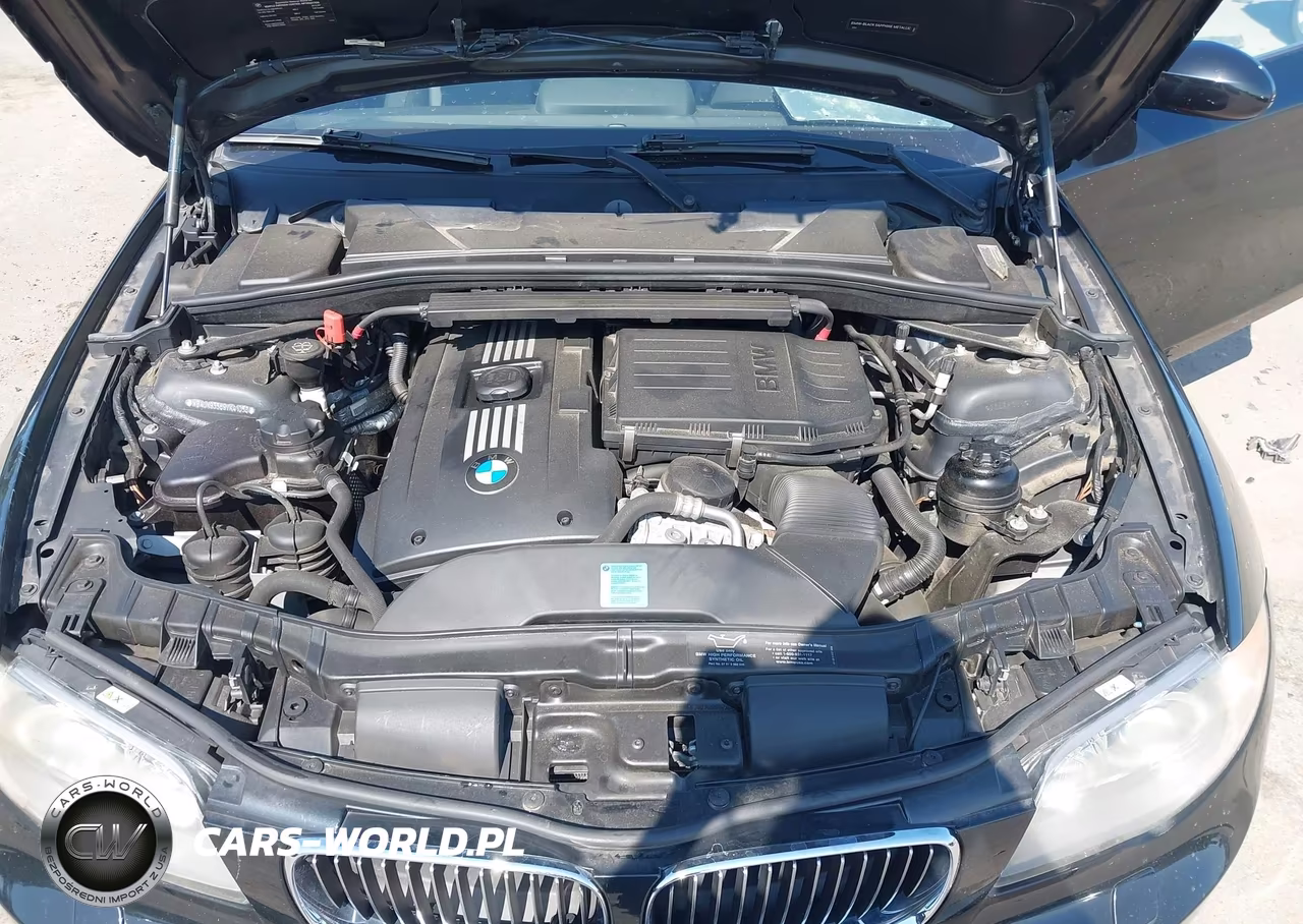 2009 BMW 135I VIN:WBAUN93589VK41056 - 10