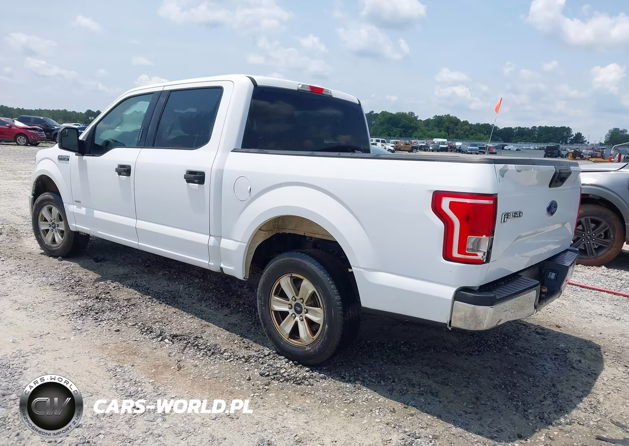 2017 Ford F-150 Xlt VIN:1FTEW1CG4HKC84641 - 3
