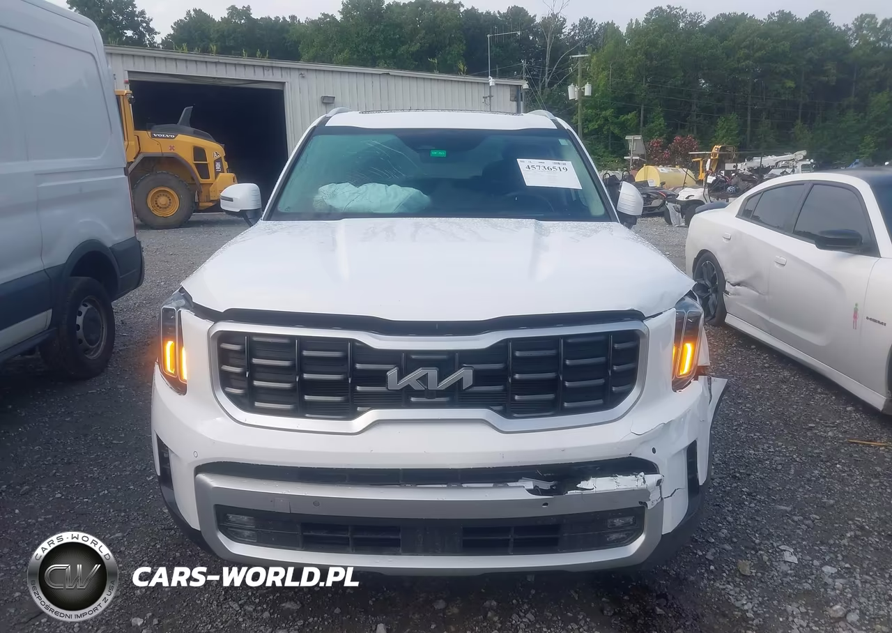 2024 Kia Telluride Sx Prestige VIN:5XYP5DGCXRG542902 - 12