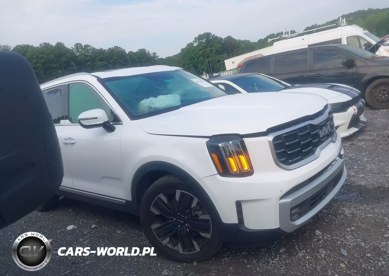 2024 Kia Telluride Sx Prestige VIN:5XYP5DGCXRG542902 - 13