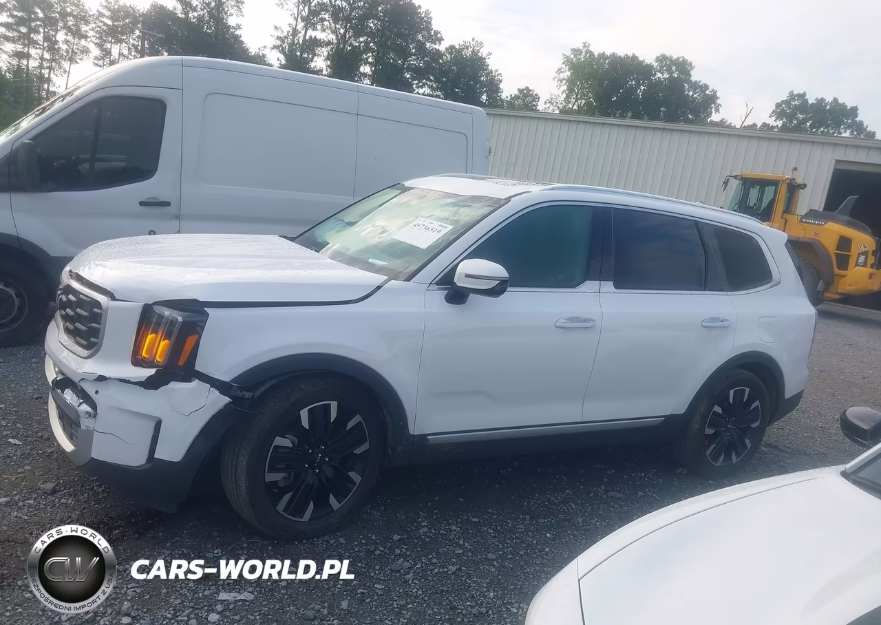 2024 Kia Telluride Sx Prestige VIN:5XYP5DGCXRG542902 - 14