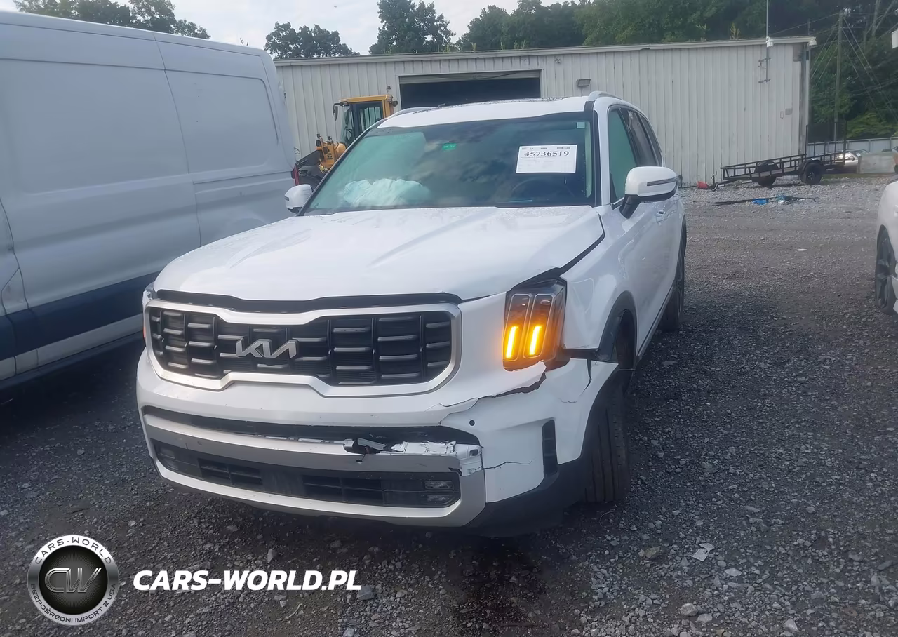 2024 Kia Telluride Sx Prestige VIN:5XYP5DGCXRG542902 - 2