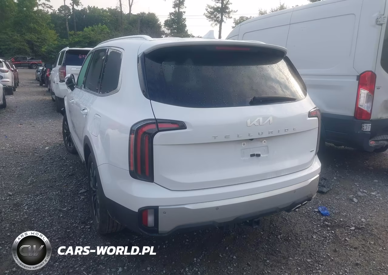 2024 Kia Telluride Sx Prestige VIN:5XYP5DGCXRG542902 - 3