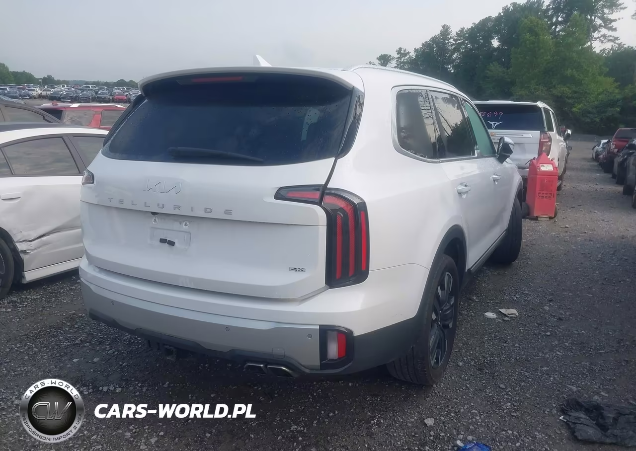 2024 Kia Telluride Sx Prestige VIN:5XYP5DGCXRG542902 - 4