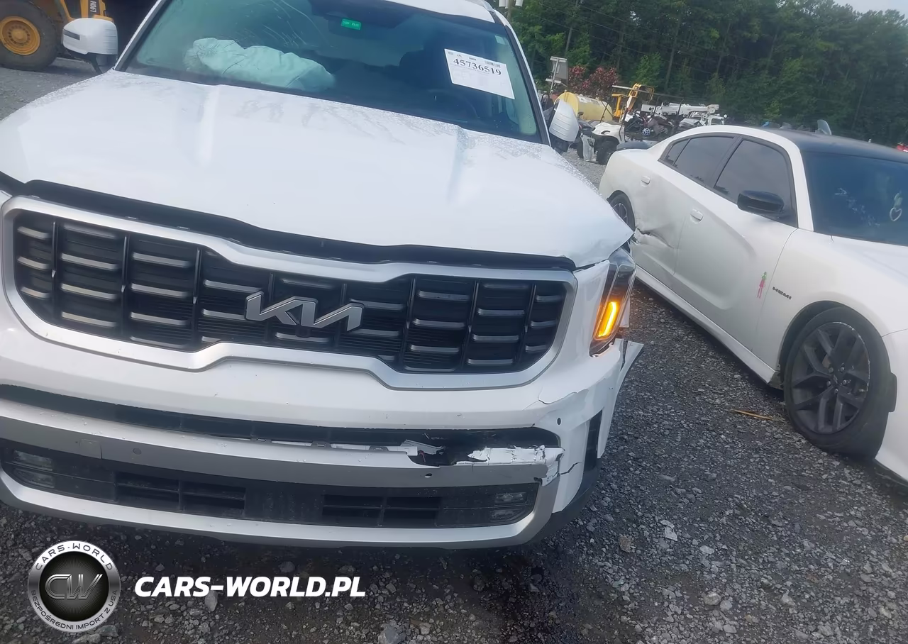2024 Kia Telluride Sx Prestige VIN:5XYP5DGCXRG542902 - 6