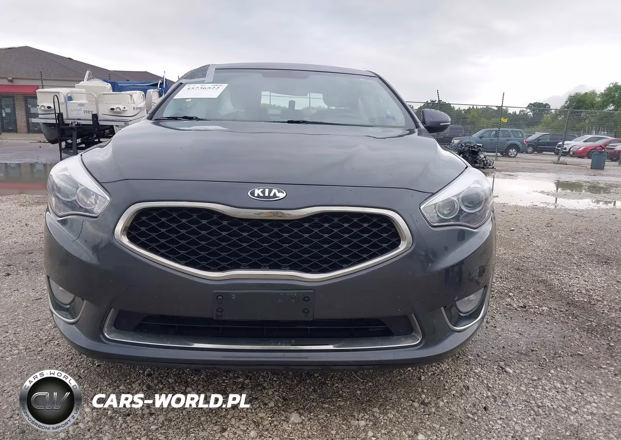 2015 Kia Cadenza Premium VIN:KNALN4D76F5169395 - 12
