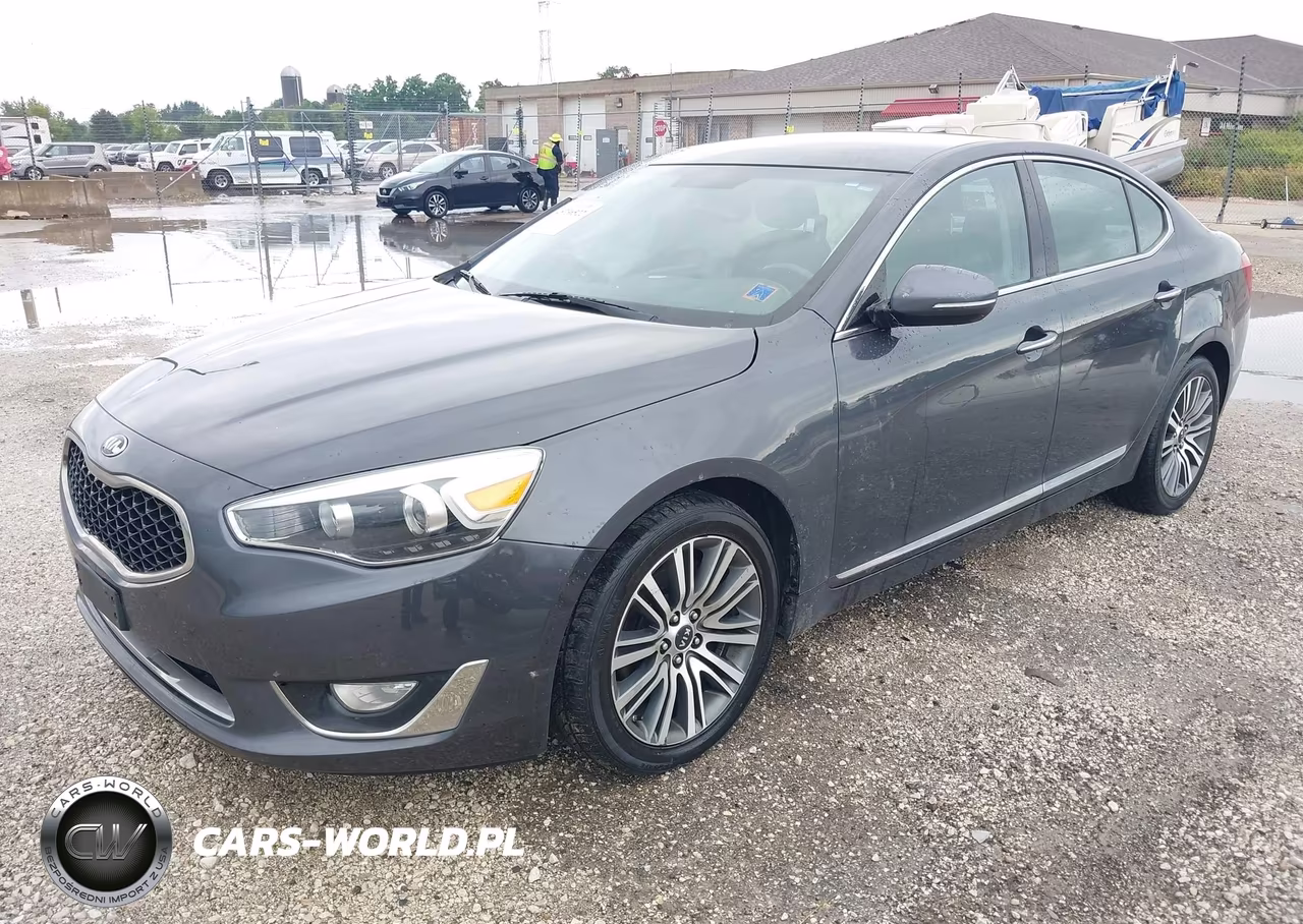 2015 Kia Cadenza Premium VIN:KNALN4D76F5169395 - 2