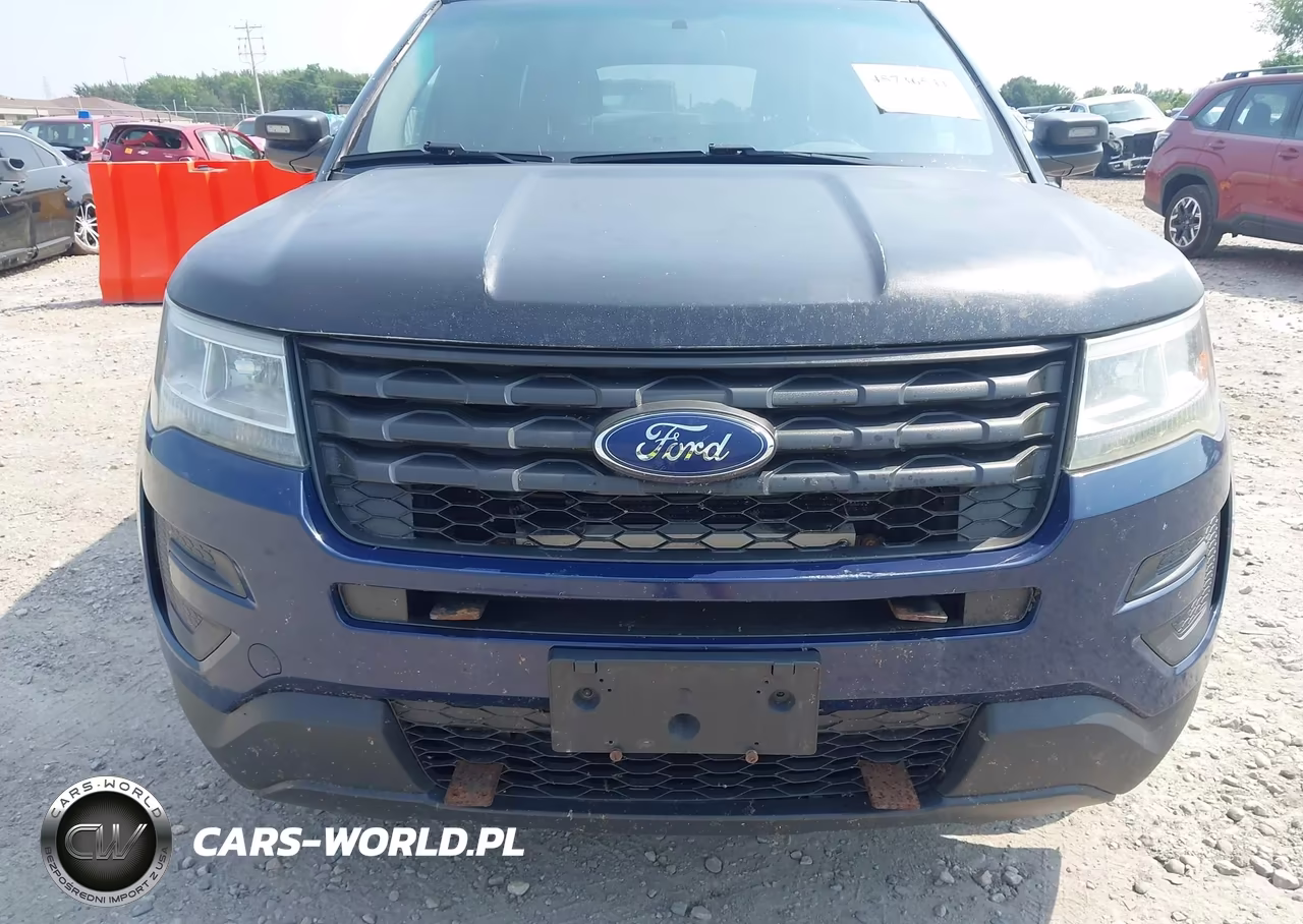 2016 Ford Utility Police Interceptor VIN:1FM5K8AR7GGA19203 - 6