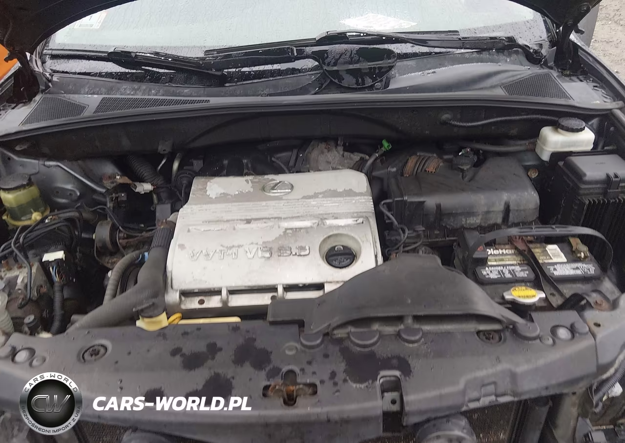 2004 Lexus Rx 330 VIN:2T2HA31U24C007140 - 10