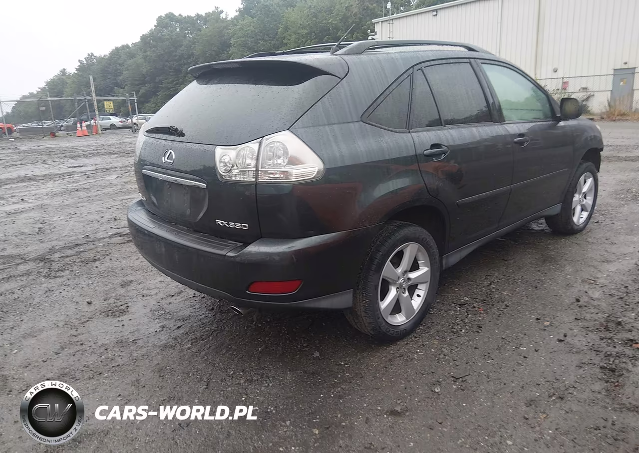 2004 Lexus Rx 330 VIN:2T2HA31U24C007140 - 4