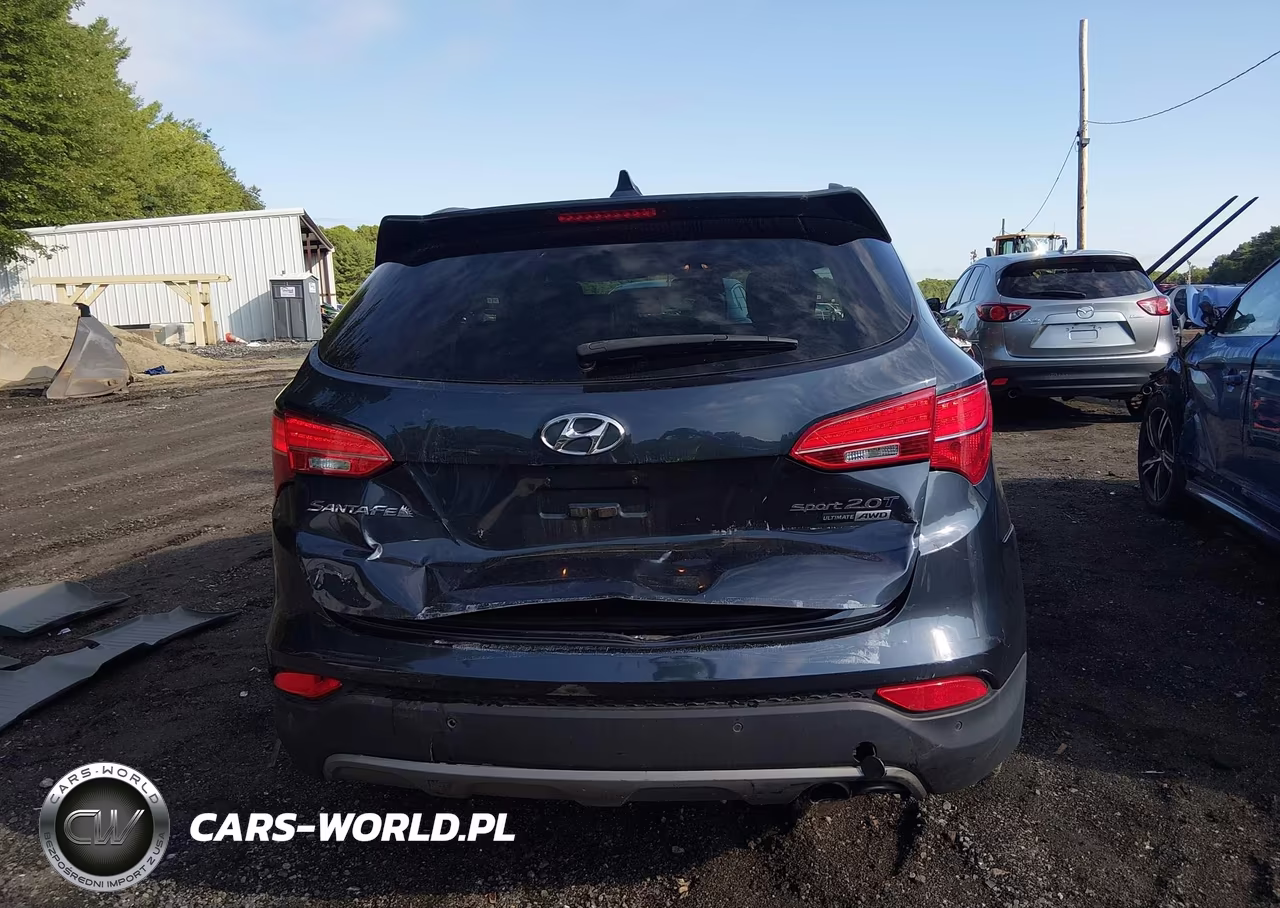 2016 Hyundai Santa Fe Sport 2.0L Turbo VIN:5XYZWDLA6GG362419 - 16