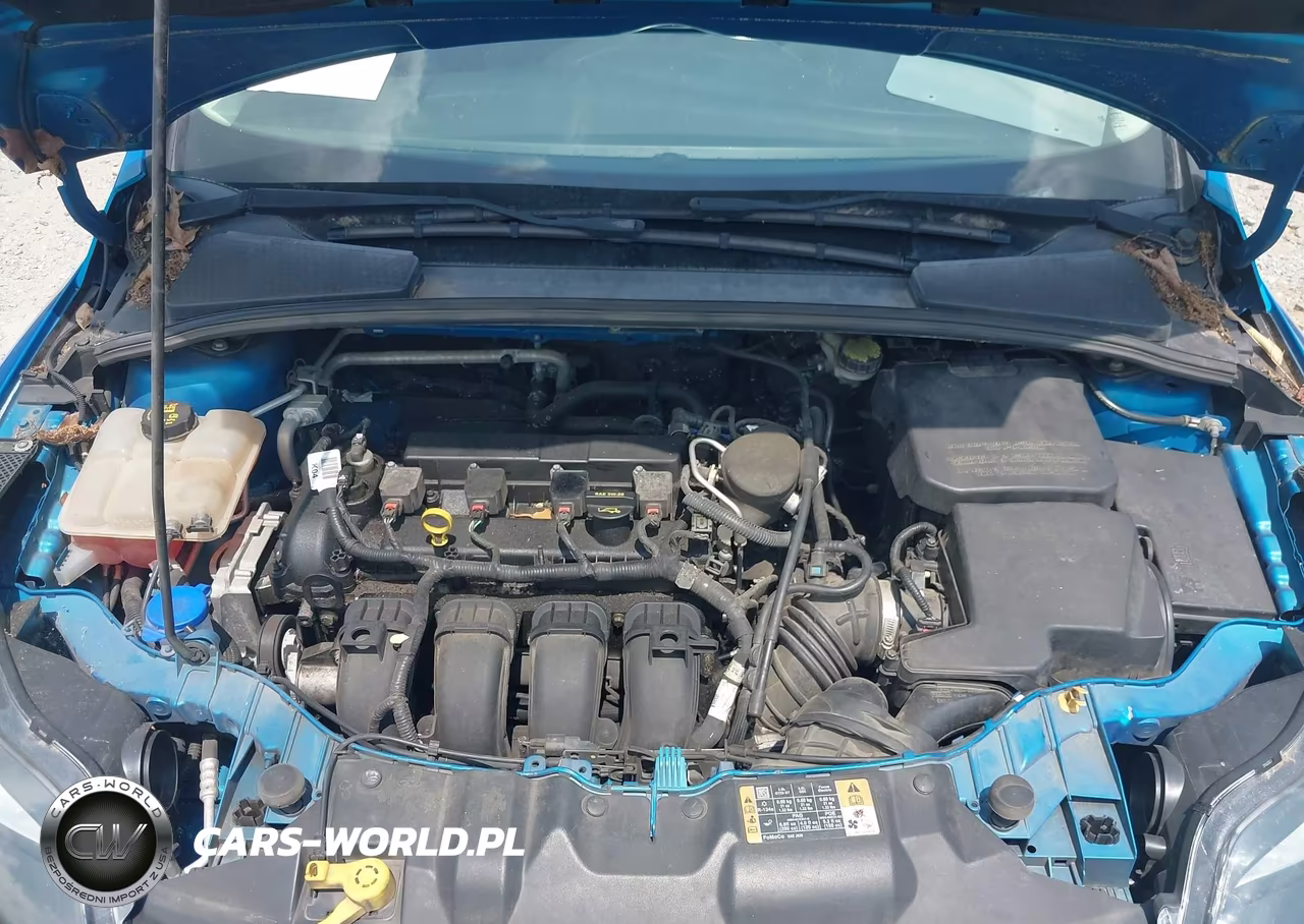 2014 Ford Focus Se VIN:1FADP3K24EL360154 - 10