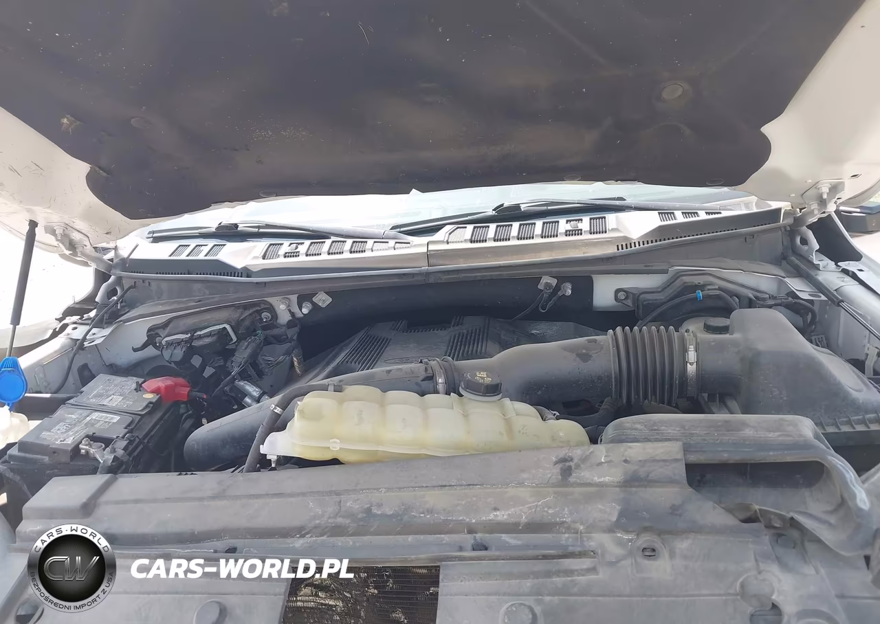 2019 Ford F-150 Lariat VIN:1FTFW1E43KKE39484 - 10