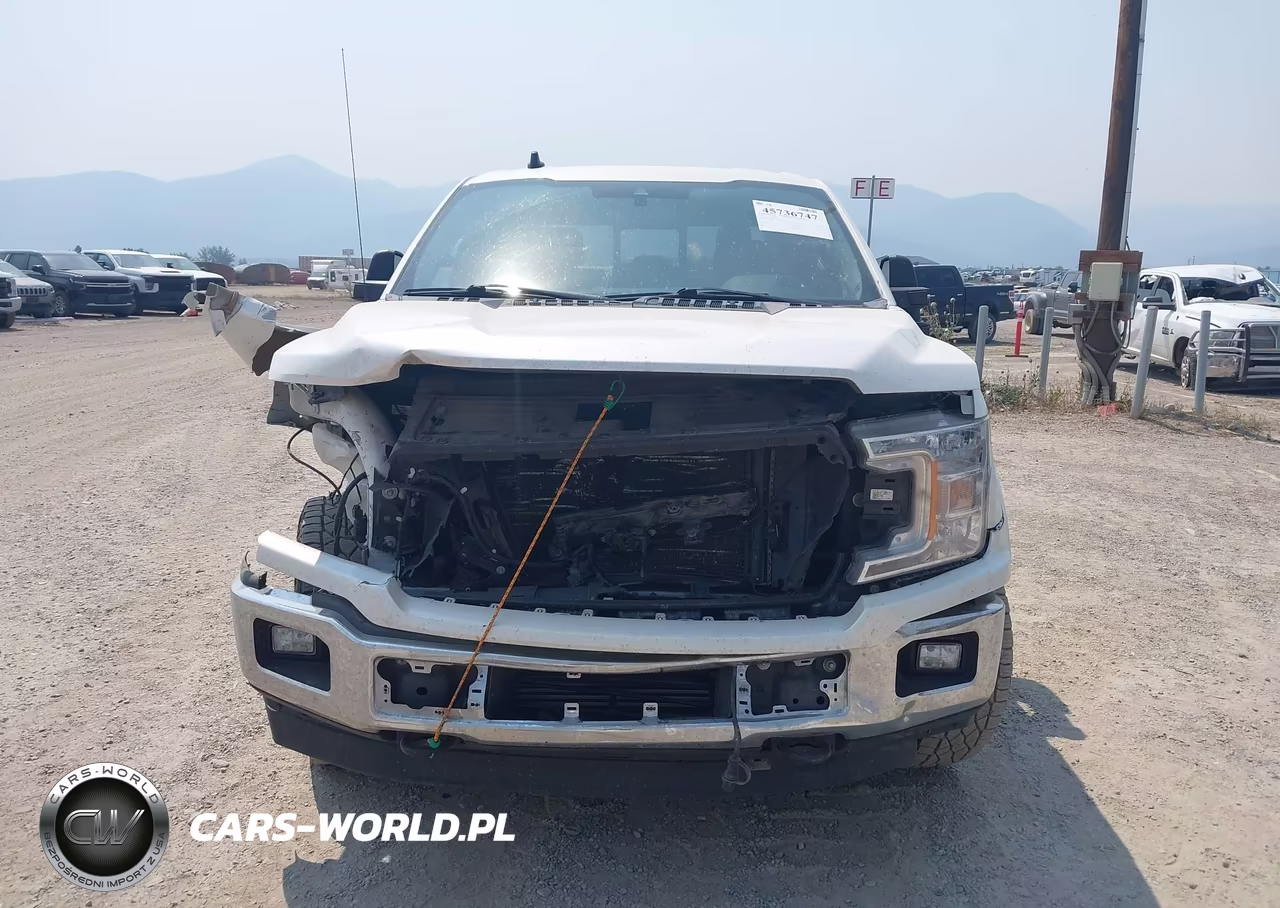 2019 Ford F-150 Lariat VIN:1FTFW1E43KKE39484 - 12