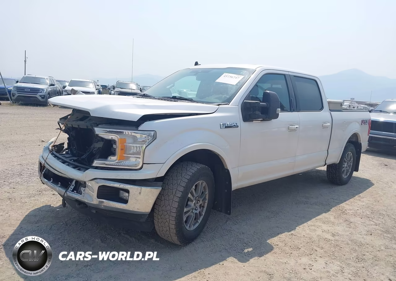 2019 Ford F-150 Lariat VIN:1FTFW1E43KKE39484 - 2
