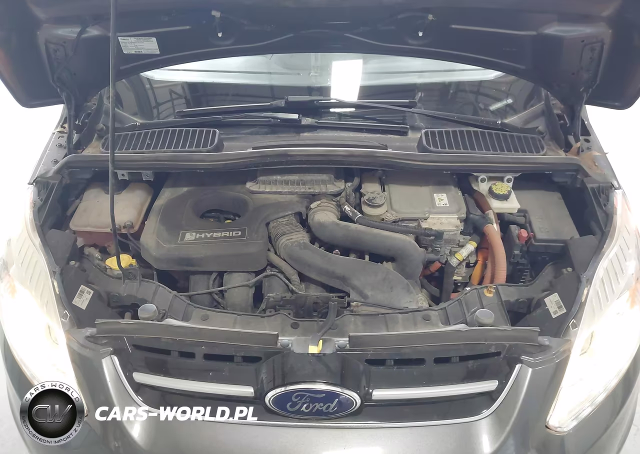 2017 Ford C-Max Hybrid Se VIN:1FADP5AU4HL114305 - 10