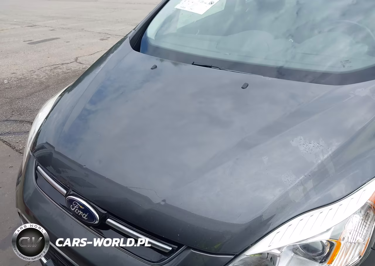2017 Ford C-Max Hybrid Se VIN:1FADP5AU4HL114305 - 6