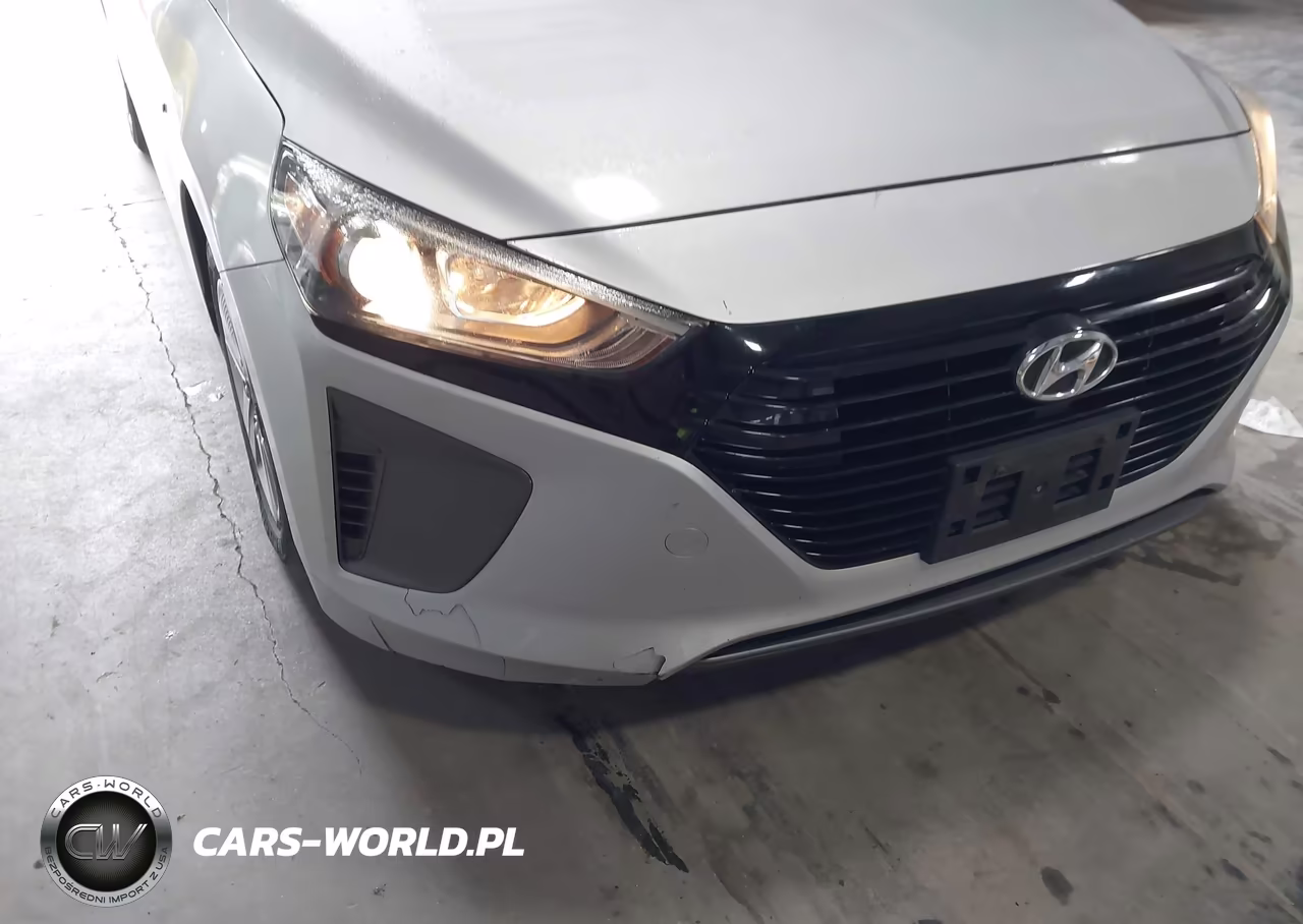 2019 Hyundai Ioniq Hybrid Blue VIN:KMHC65LC1KU106902 - 12