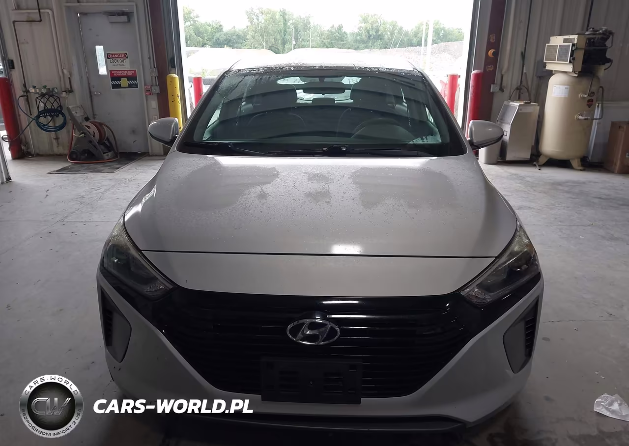 2019 Hyundai Ioniq Hybrid Blue VIN:KMHC65LC1KU106902 - 17