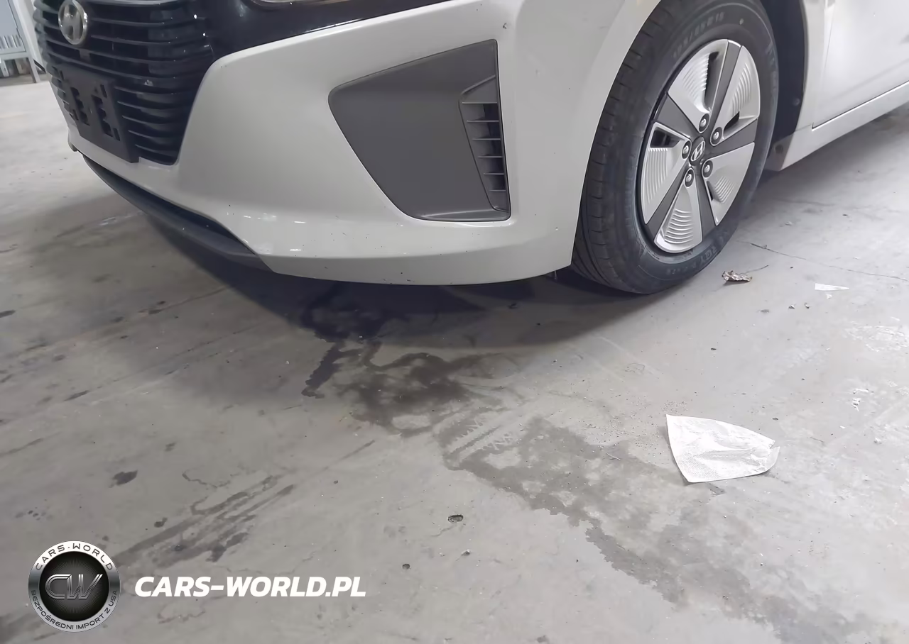 2019 Hyundai Ioniq Hybrid Blue VIN:KMHC65LC1KU106902 - 6