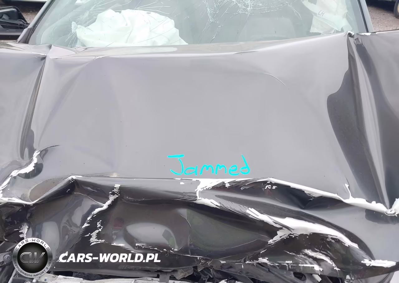 2019 Chevrolet Equinox Ls VIN:2GNAXSEV8K6303142 - 10