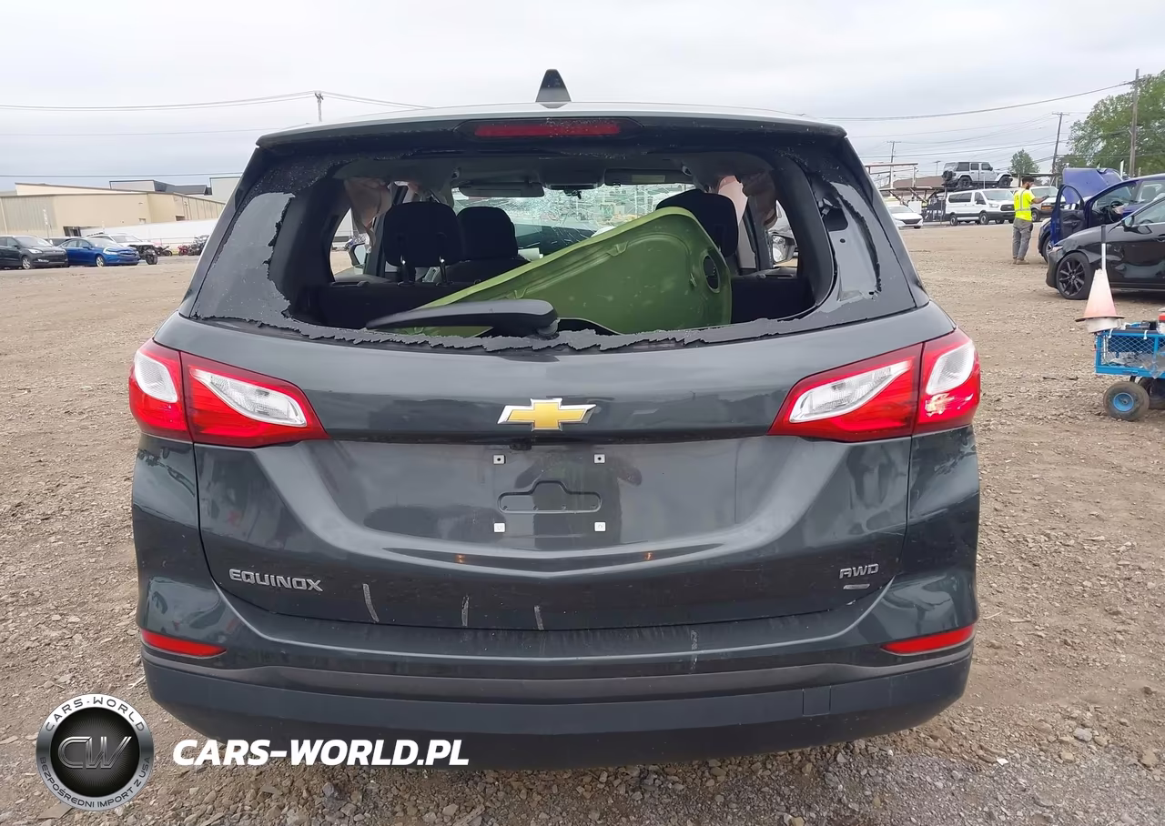 2019 Chevrolet Equinox Ls VIN:2GNAXSEV8K6303142 - 17