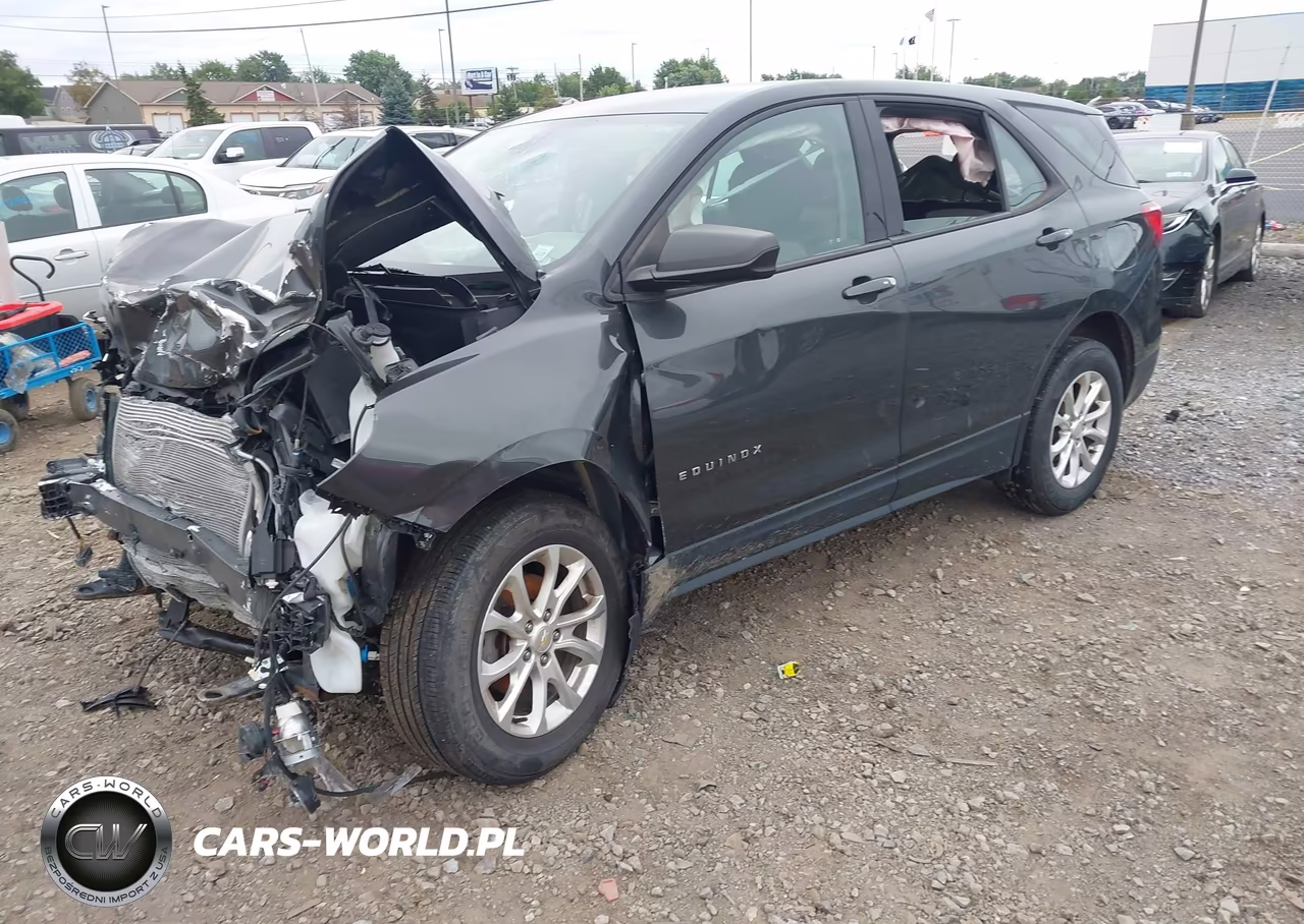2019 Chevrolet Equinox Ls VIN:2GNAXSEV8K6303142 - 2