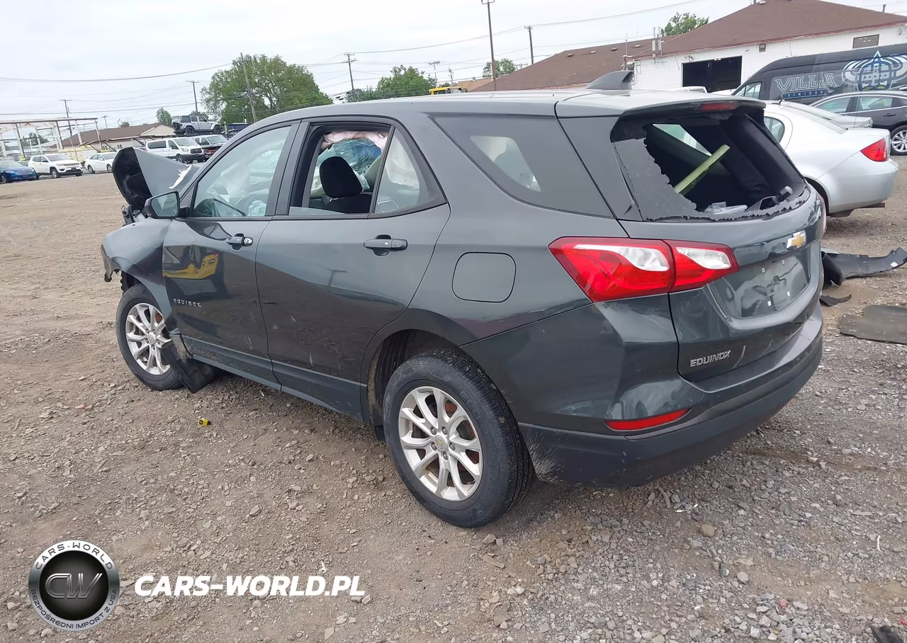2019 Chevrolet Equinox Ls VIN:2GNAXSEV8K6303142 - 3