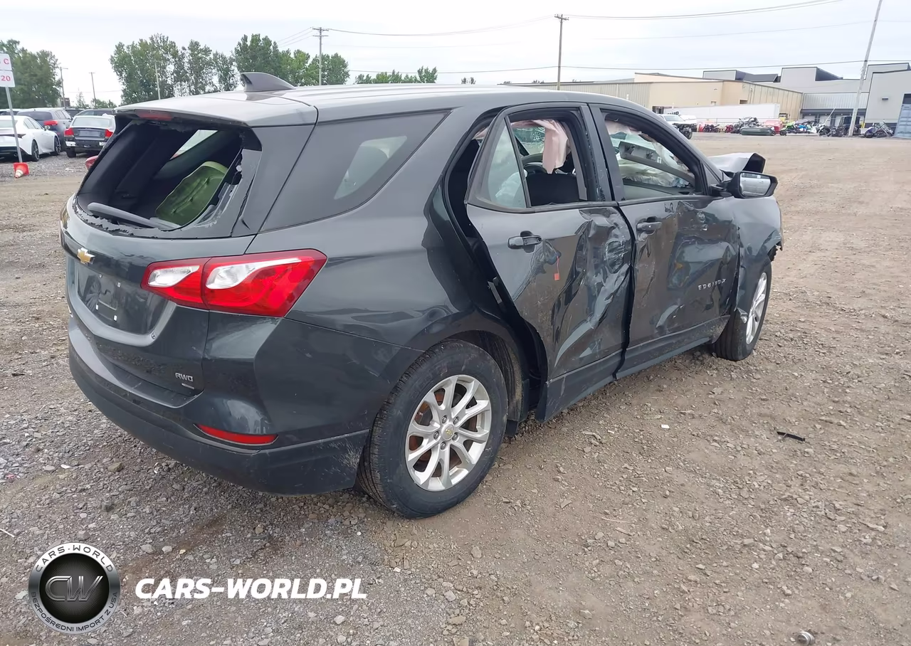 2019 Chevrolet Equinox Ls VIN:2GNAXSEV8K6303142 - 4