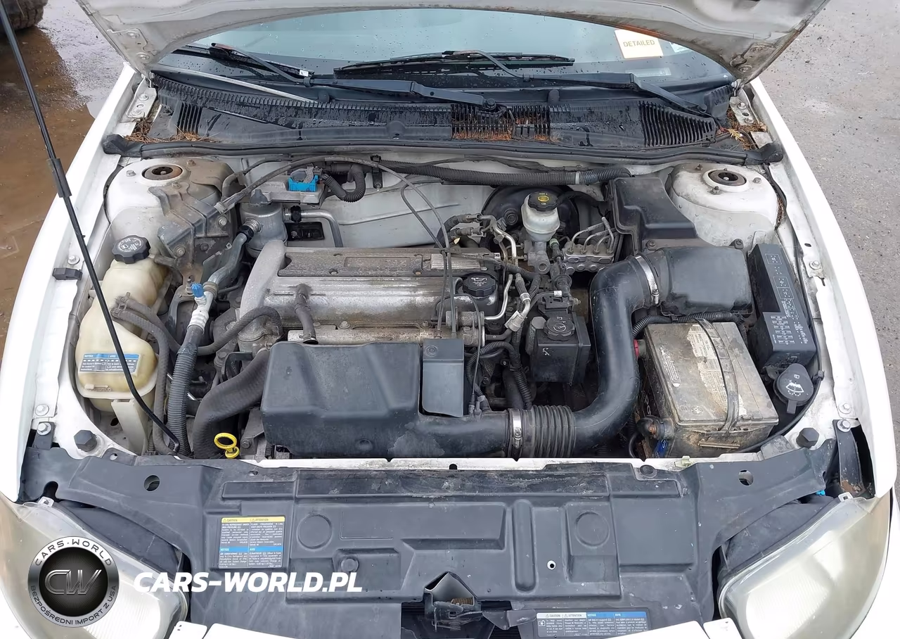 2004 Chevrolet Cavalier VIN:1G1JC52F847338357 - 10