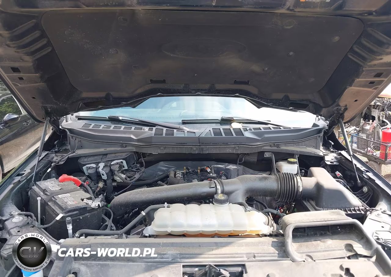 2024 Ford F-150 Xlt VIN:1FTFW3L89RKD19085 - 10