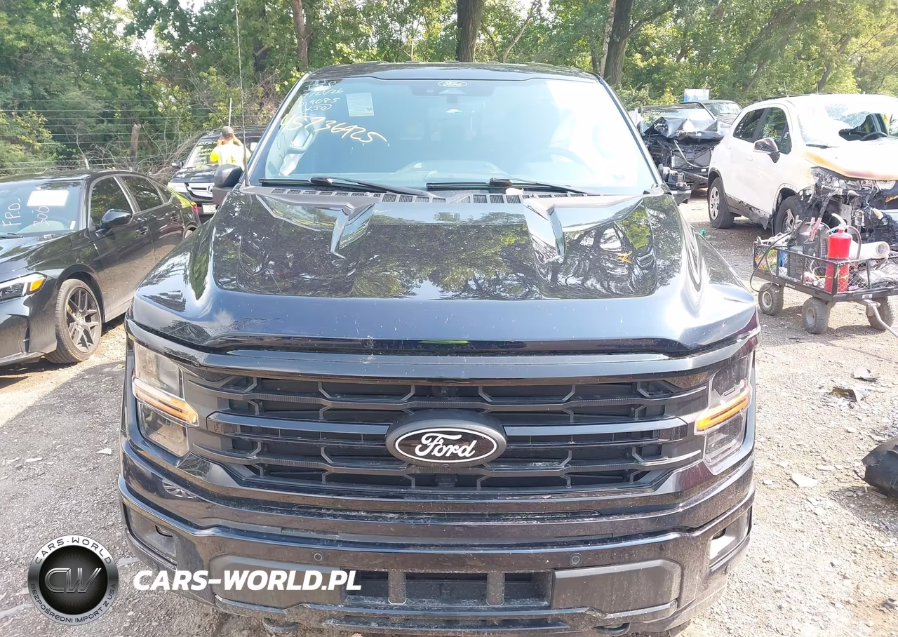 2024 Ford F-150 Xlt VIN:1FTFW3L89RKD19085 - 12