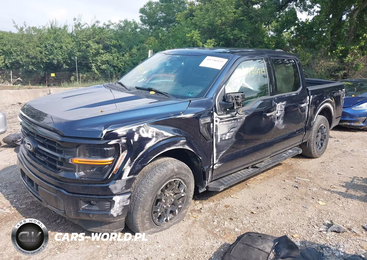 2024 Ford F-150 Xlt VIN:1FTFW3L89RKD19085 - 2