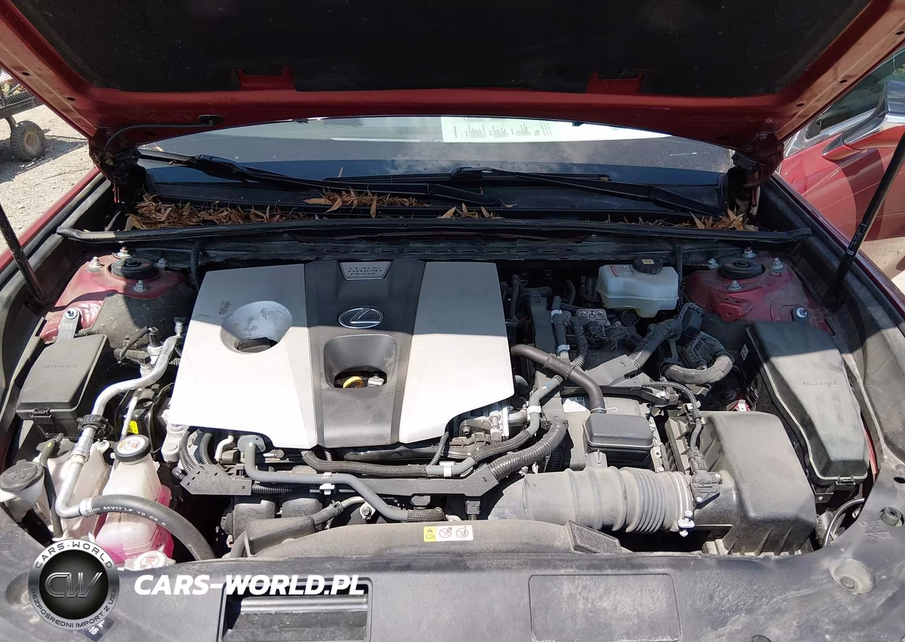 2021 Lexus Es 300H VIN:58ADA1C19MU009324 - 10