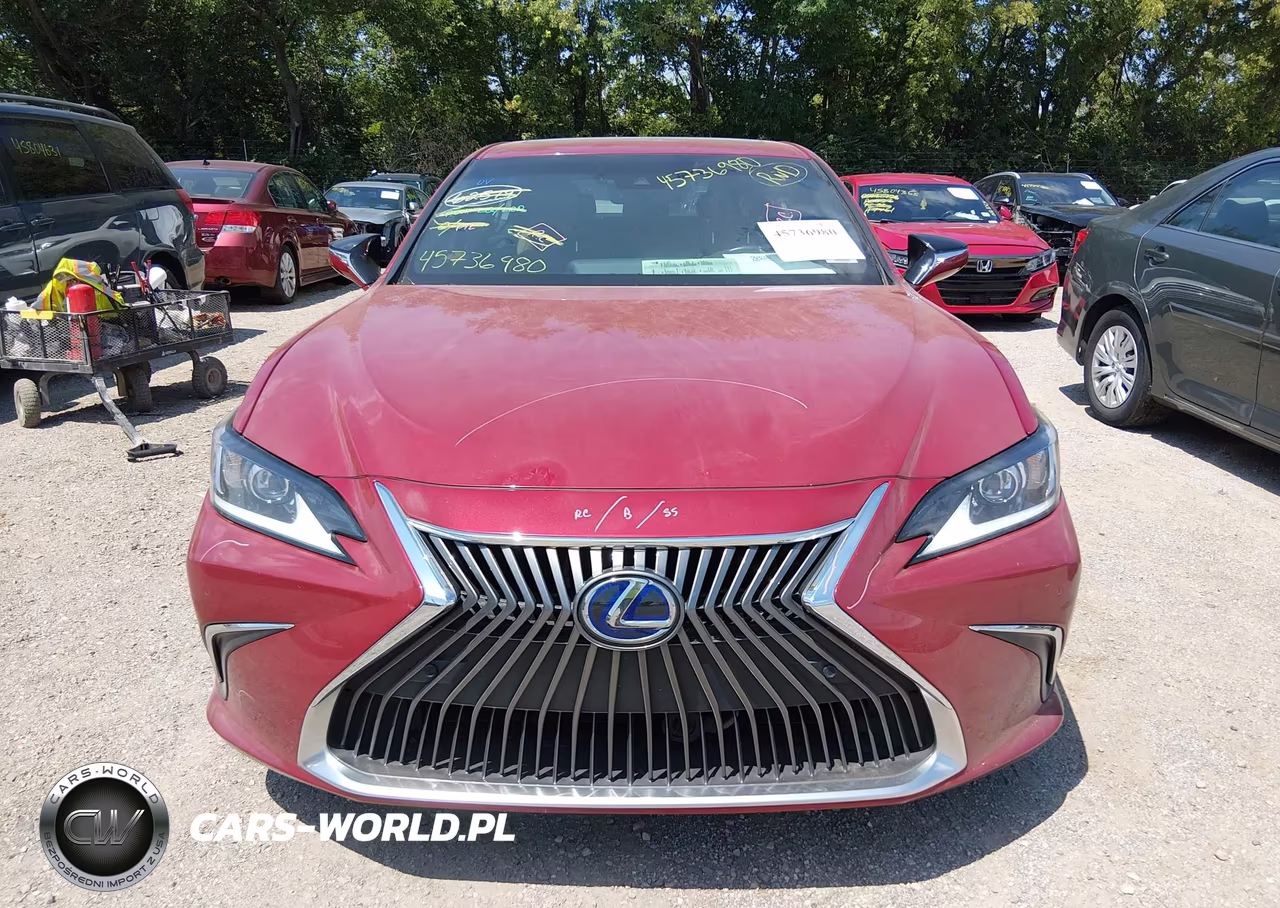 2021 Lexus Es 300H VIN:58ADA1C19MU009324 - 12