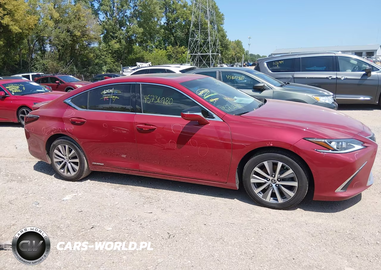 2021 Lexus Es 300H VIN:58ADA1C19MU009324 - 13